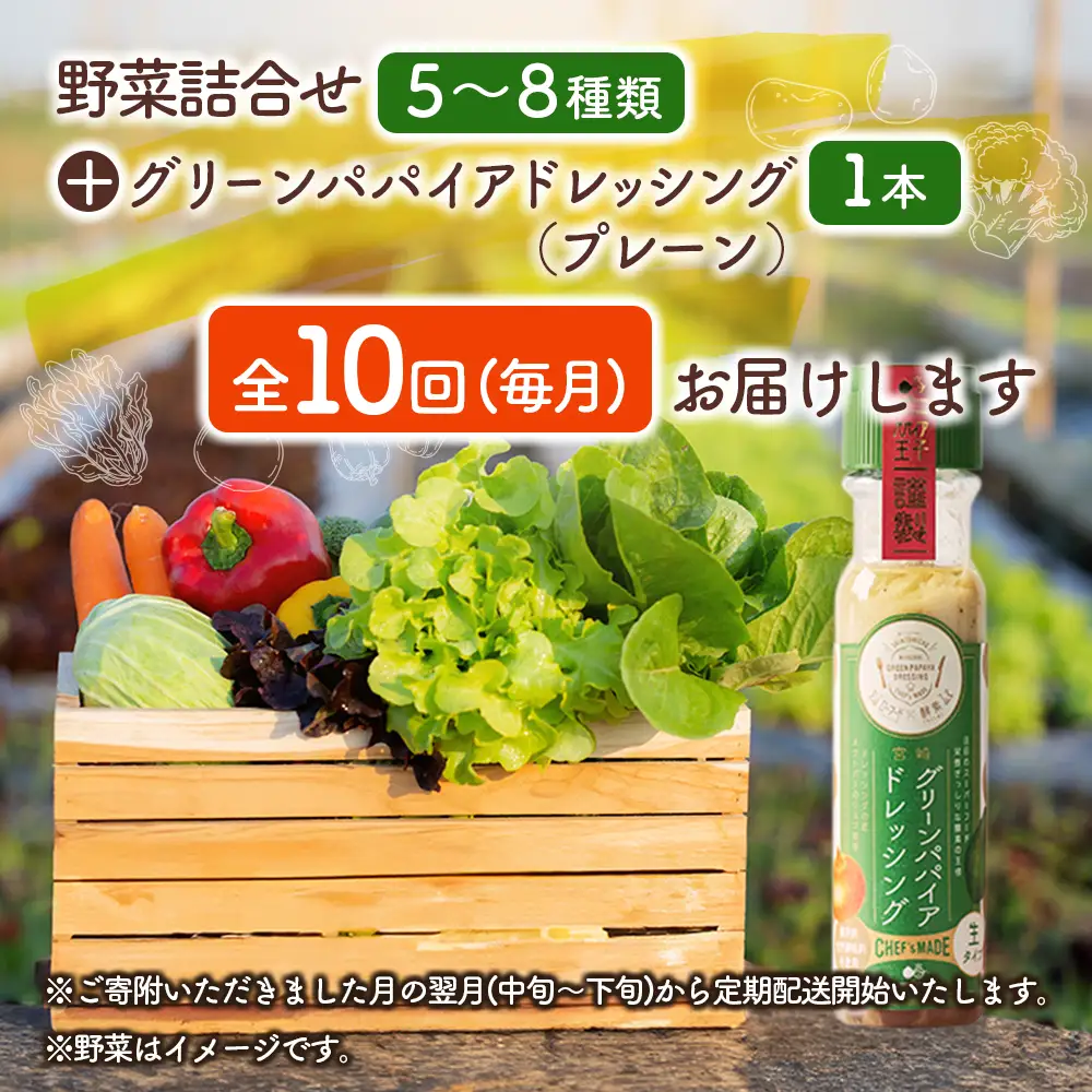 産地直送！旬の野菜（5～8種類）＆ドレッシング セット 10か月 定期便 おまかせ 詰合せ 宮崎県新富町産 F137⁻2608
