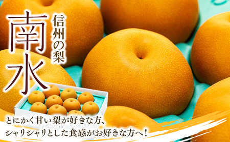 【2026年/令和8年度発送分 】 訳あり 梨 長野 南水 約 5kg 信州の梨 フルーツ 果物 デザート おやつ なし ナシ なんすい ナンスイ 産地直送 長野県 長野県産 信州産 長野県箕輪町