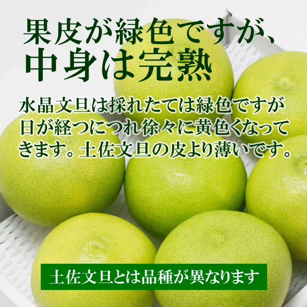 【先行予約】水晶文旦 ご家庭用お得箱 約3kg Lサイズ-２Ｌサイズ （6-7個入り）〈2026年10月上旬-11月上旬頃発送〉  /  訳あり ワケあり 訳 傷 キズ へこみ 文旦 ブンタン ぶんたん 水晶文旦 果物 柑橘【白木果樹園】 [BQAI021]