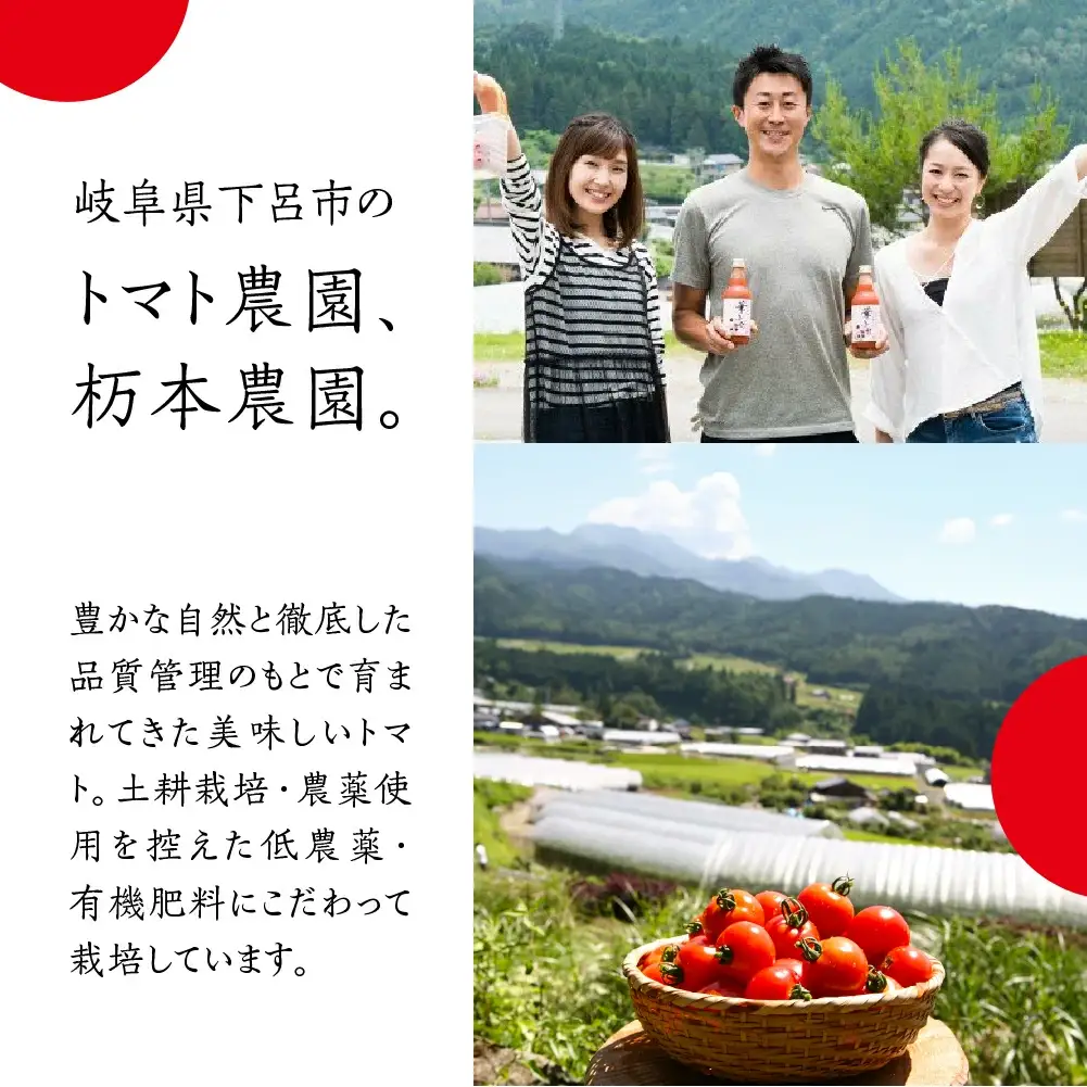【定期便 3回】産地直送！杤本農園  フルーツトマトジュース（720ml×6本入り）×3カ月  華小町 フルーツトマト とまと 野菜飲料 贈答 ギフト 定期 3ヶ月 ジュース トマトジュース トマト フルーツトマト【45-A】定期便 定期 トマト トマトジュース トマトジュース トマトジュース  