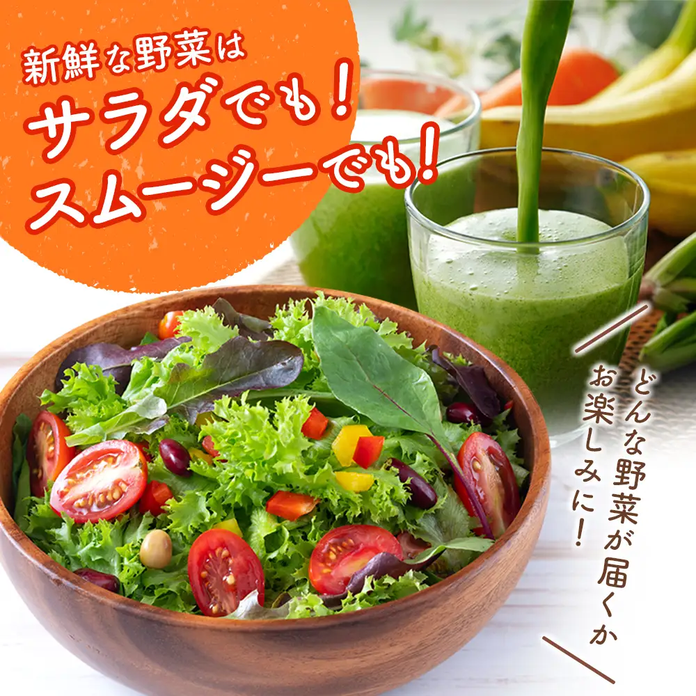 産地直送！旬の野菜・フルーツ＆野菜加工品 セット 3か月定期便 おまかせ 詰合せ 宮崎県新富町産 E215-2608
