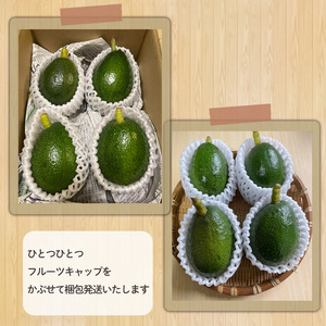 アボカド 国産 約900g アボカド【HYN002】