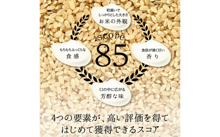 富山県ブランド米 富富富 精米 5kg ふふふ ブランド米 国産 米 お米 日本米 ギフト 贈り物 備蓄 防災 食品 陽咲玲 はるざれ F6T-1008