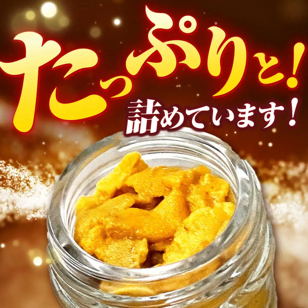 生うに（全3回定期便） 60g×1本 [JEH025] うに