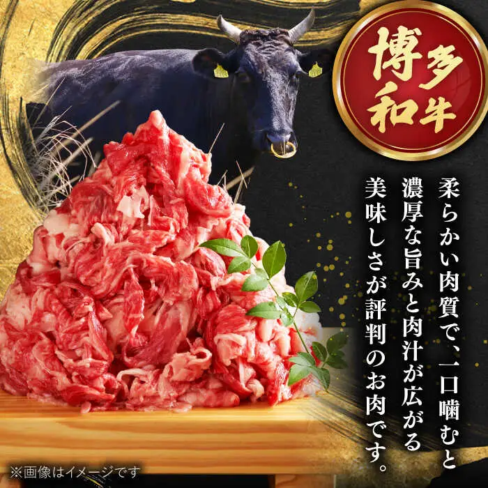 【全6回定期便】【溢れる肉汁！】お肉屋さんの手ごね 特上 博多和牛ハンバーグ 10個 桂川町/株式会社 MEAT PLUS [ADAQ037] 牛肉 ハンバーグ 肉汁 手作りハンバーグ ハンバーグセット 定期便 