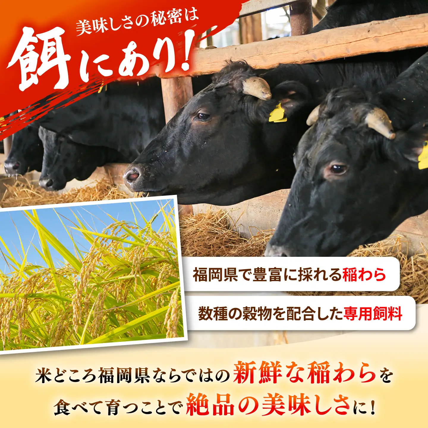 【全12回定期便】【訳あり】博多和牛 しゃぶしゃぶ すき焼き 750gセット 桂川町/株式会社 MEAT PLUS [ADAQ050] 国産 牛肉 和牛 しゃぶしゃぶ すき焼き ロース もも うで セット 定期便