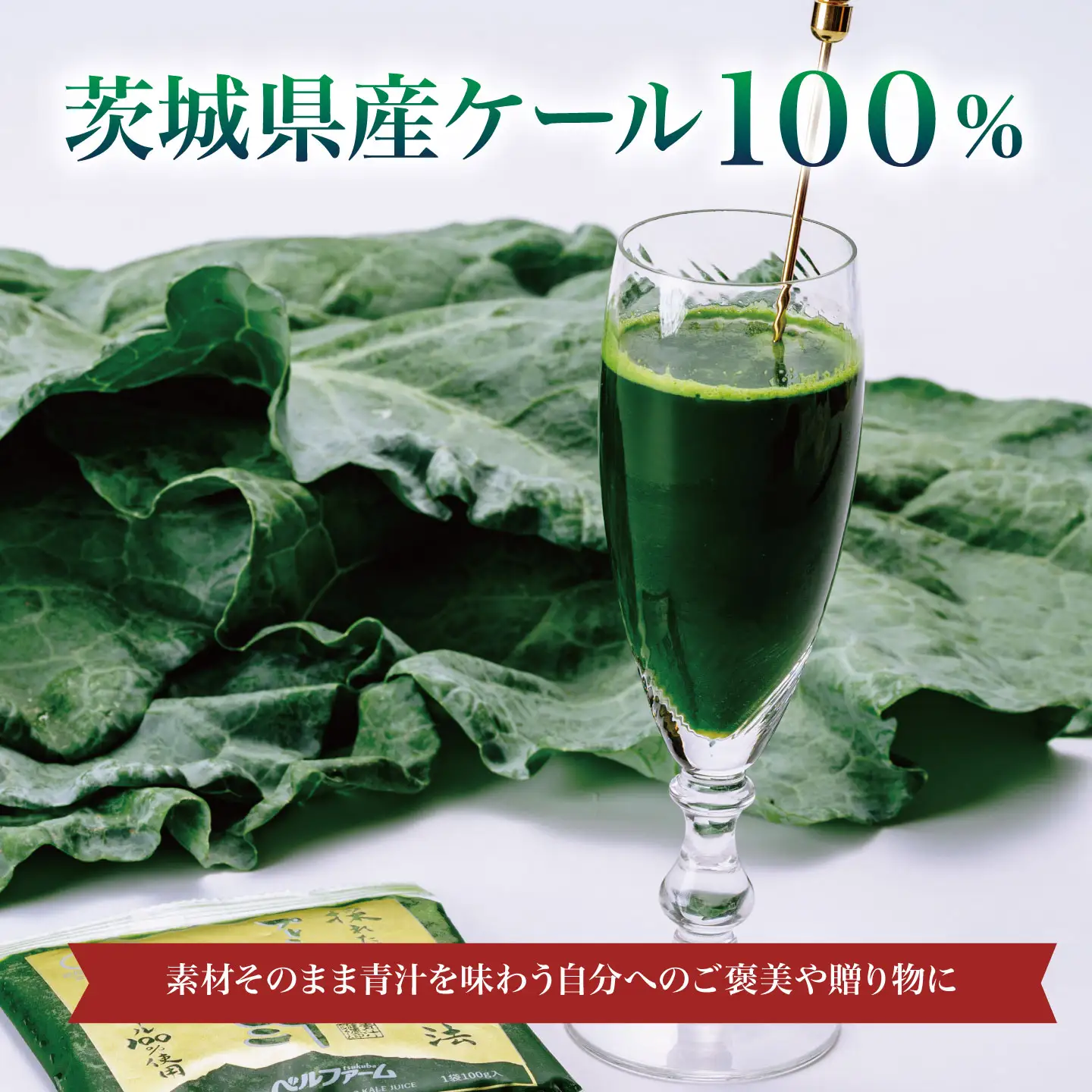 12ヵ月定期便 プレミアム有機青汁 100g×30P