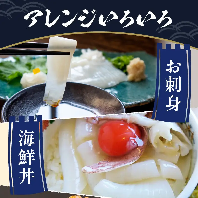 日本海産『海の京都』の逸品！！　活白イカ姿造り（クリスタル白いか）特大サイズ 1杯（400g前後）（2027年6月上旬～発送） ふるさと納税 海鮮 鮮度抜群 新鮮 海鮮 いか イカ 簡単調理 生産者応援 送料無料 生食 魚介類 活イカ 日本海産 刺身 BBQ 美味 逸品