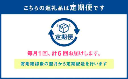 【6ヶ月定期便】肥後のあか牛 ハンバーグ 1.5kg（150g×10個）