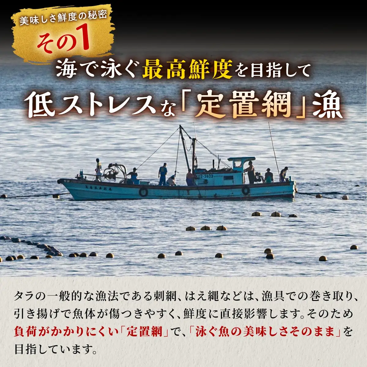 北海道 タラの昆布締め【1080g(180g×6)】_A030-1127