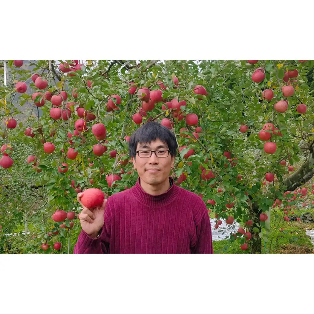 牧野果樹園　長野市産「ぐんま名月」約5kg（12-18玉）  | りんご フルーツ 果物 りんご