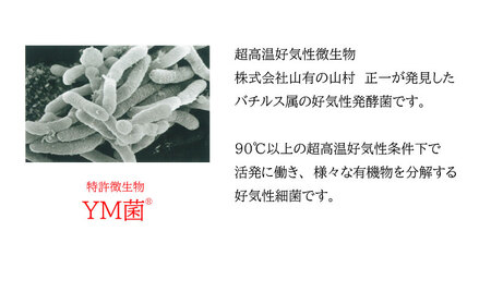 B2-6801／ＹＭ菌 消臭剤 愛しい水 2L×3本 ＆ スプレー セット