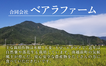 【先行予約】【6ヶ月連続お届け】【令和8年産 新米】南条米 特別栽培米コシヒカリ 真空パック 精米 10kg(5kg×2袋)×6ヶ月 (計60kg)福井 おにぎり