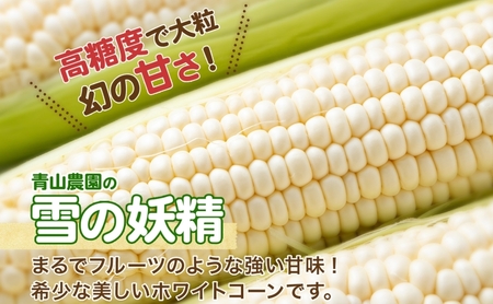 とうもろこし めぐみゴールド 雪の妖精 食べ比べ 北海道産 とうもろこし【5kg】【先行予約】