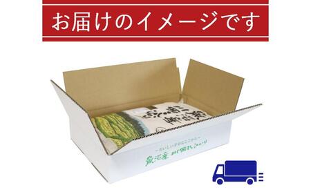 令和８年産米　先行予約【定期便／6ヶ月】魚沼産川西こしひかり5kg  ＜令和8年10月下旬～発送予定＞ 