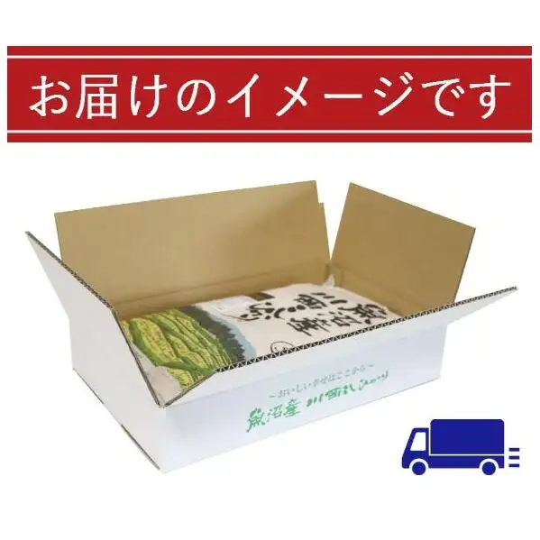 令和８年産米　先行予約【無洗米】魚沼産川西こしひかり5kg＜令和8年10月下旬～発送予定＞