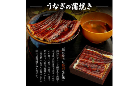 《上》うなぎの蒲焼き・白焼き2尾セット（約330g） オリジナルタレ・山椒付き