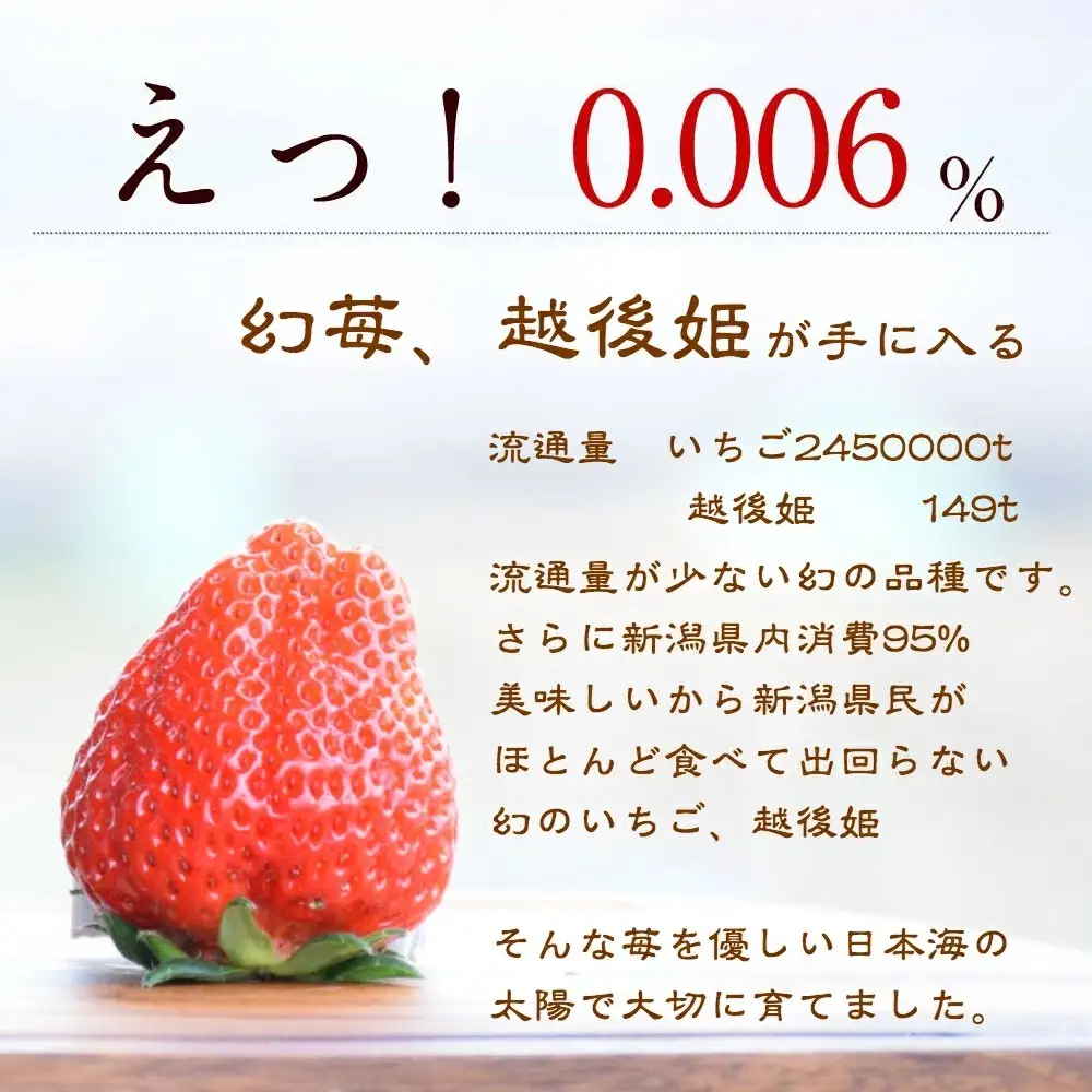 【先行予約】越後姫 いちご定期便 ダブル 越後姫 約760g×6回