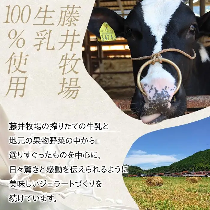【数量限定】ピスタチオジェラート食べ比べ シチリア産 ピスタチオ 豆乳ピスタチオ 121ml×8個（2種各4個）