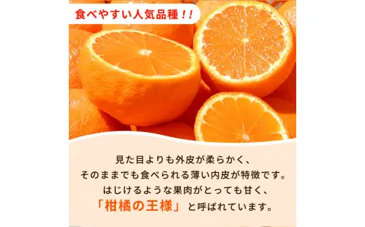 紀州 有田産 不知火 (しらぬひ)  2.5kg ※2027年2月中旬頃〜3月中旬頃発送予定 【uot794】