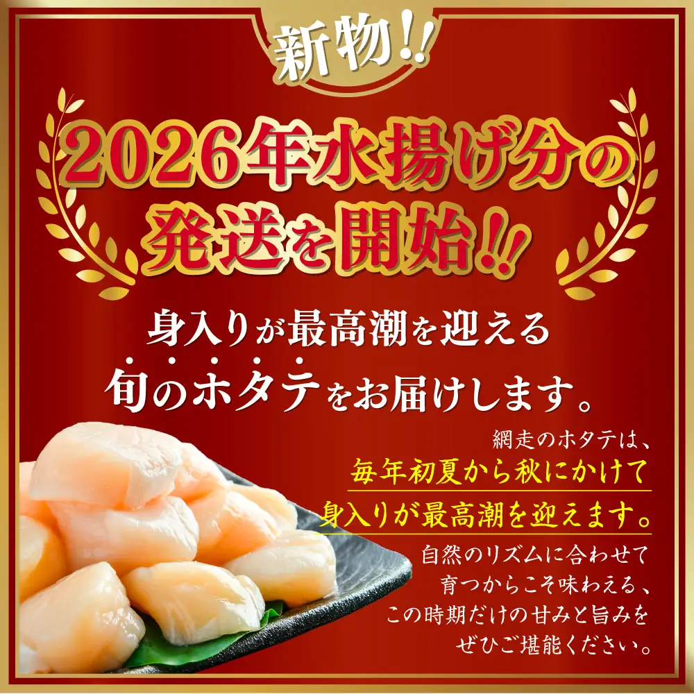 網走前浜産 無添加ホタテ貝柱【 1.2kg (300g×4) 】 ABAI031 | ホタテ