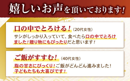 【3回定期便】【二大高級部位！】サーロイン と ヒレ ステーキ 計700g (各2枚) / 長崎和牛 A5ランク 希少部位 A5 / 諫早市 / 野中精肉店 [AHCW081]
