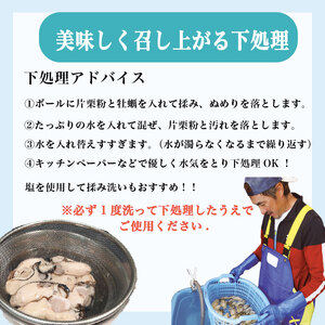 訳あり 冷蔵牡蠣 むき身500g 牡蠣[seikimaru001]