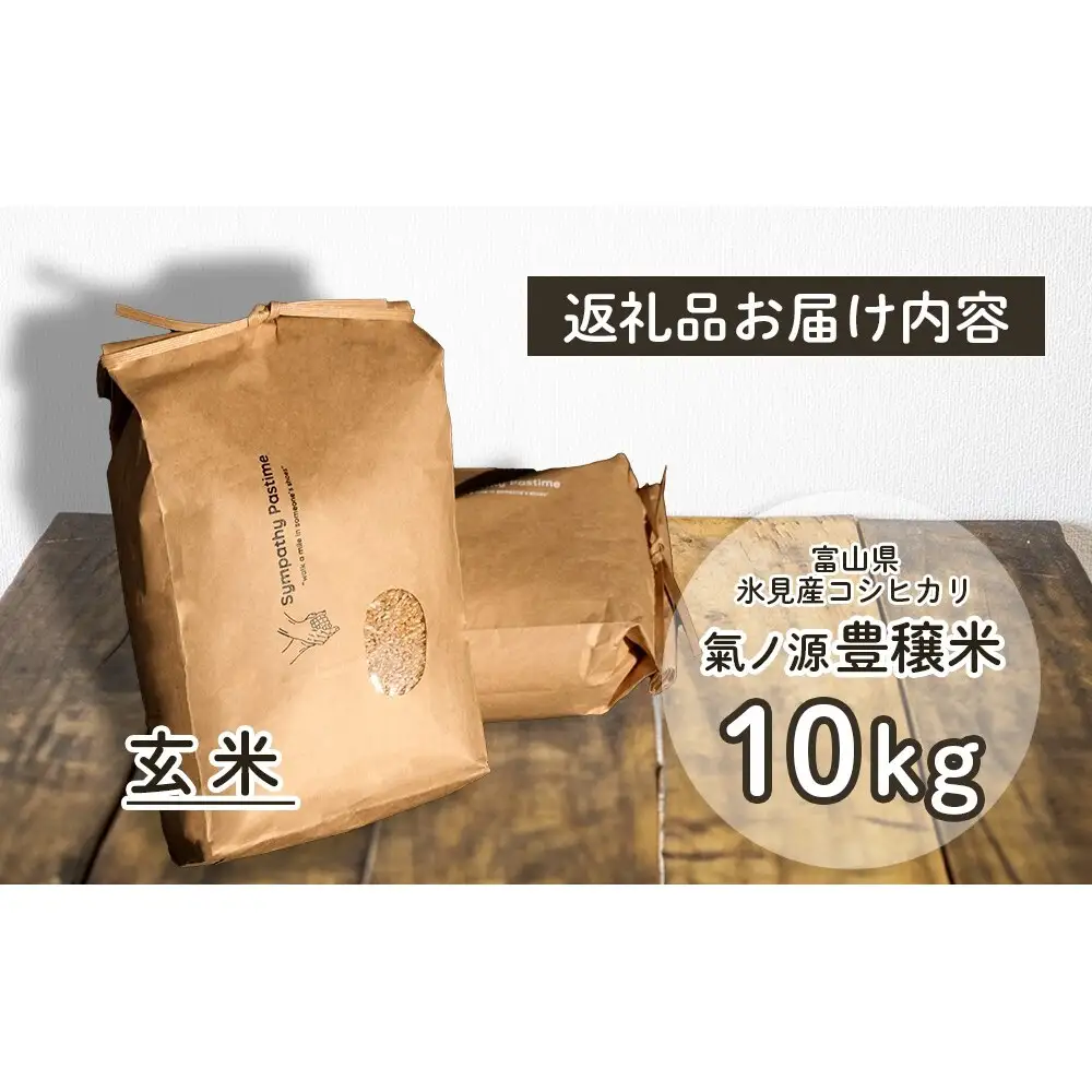 お米自慢コンクール優秀賞！  令和7年産 富山県産コシヒカリ 玄米 10kg  富山県 氷見市 こしひかり R7
