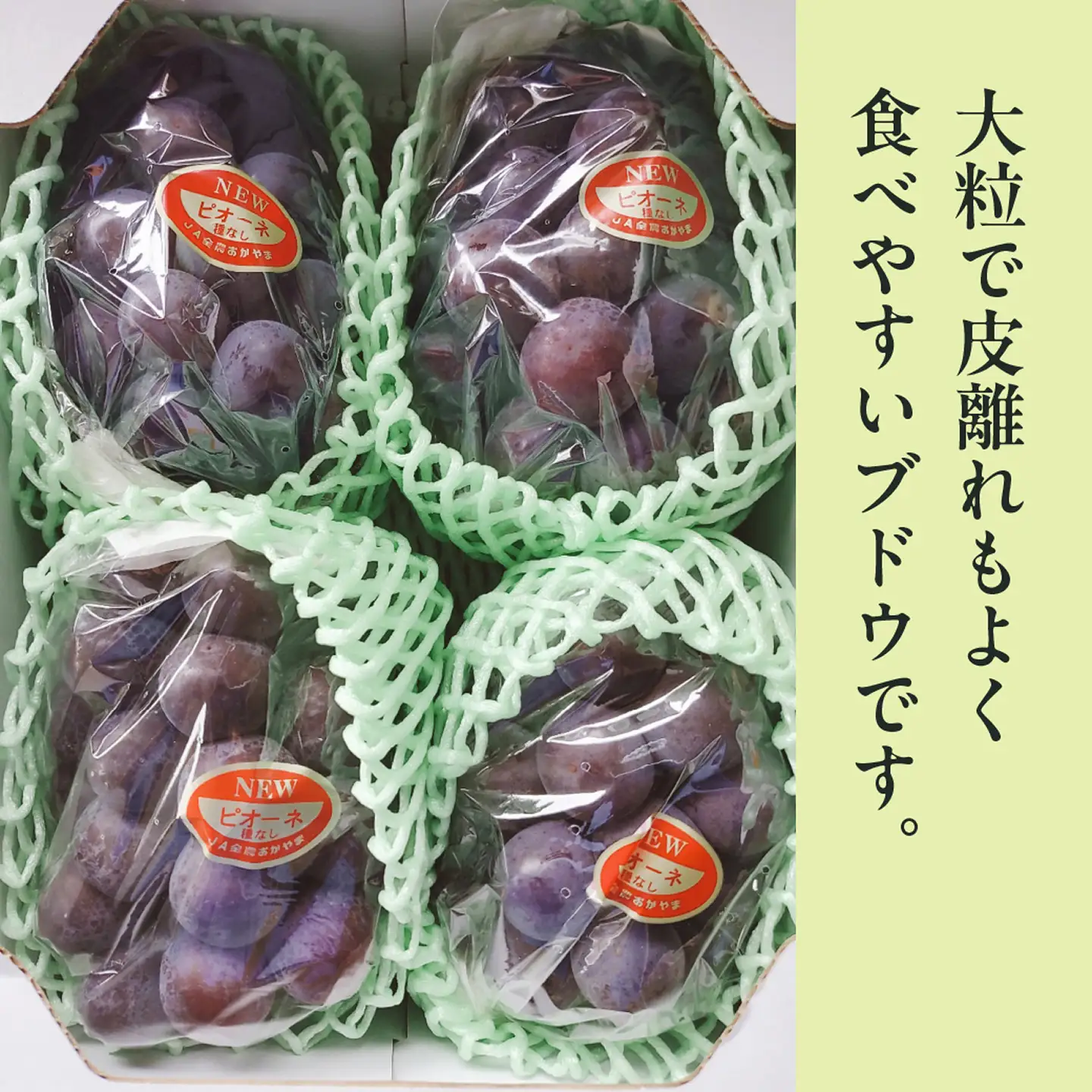 【2026年発送分】岡山県産ニューピオーネ 　秀品　約2kg（3～5房程度）（令和8年8月中旬以降発送）【ニューピオーネ】