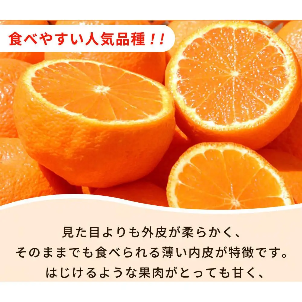 紀州有田産不知火(しらぬひ) 約２.５kg［2027年2月中旬以降発送］［先行予約］［UT61］