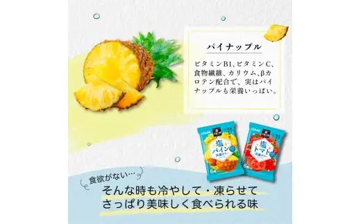 120粒入り！下仁田の蒟蒻ゼリーソフトタイプ2種 塩分チャージセット（2種×10袋6粒入り）F21K-387