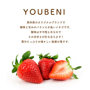 【 定期便 3回 】いちご ゆうべに 約1000g | KiyomotoFarm