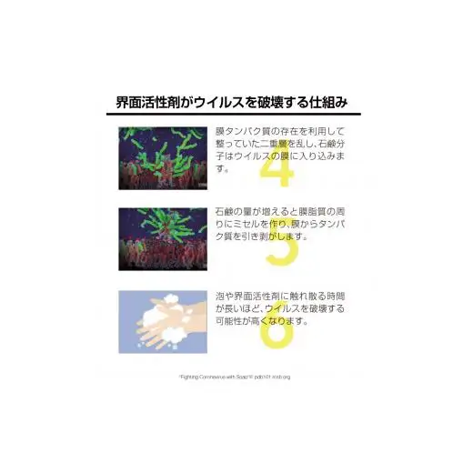 除菌剤 濃縮液 1000mL 陰イオン性界面活性剤2% コロナ対策 ウイルス 消毒 除菌 陰イオン界面活性剤