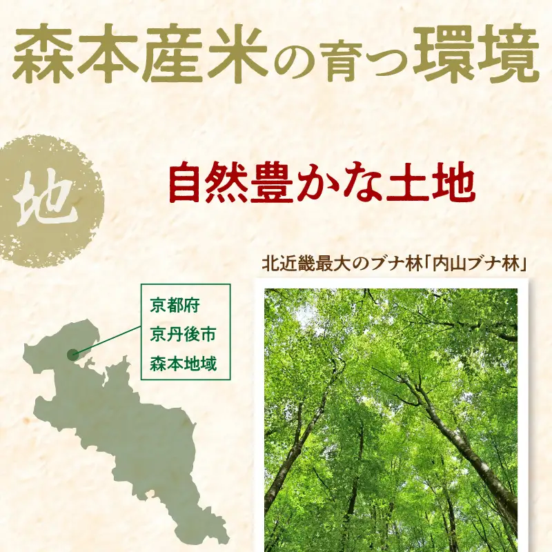 令和8年産 特別栽培米コシヒカリ 丹後椿（京丹後森本産） 5kg