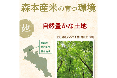 令和8年産 特別栽培米コシヒカリ 丹後椿（京丹後森本産） 5kg【定期便6回】