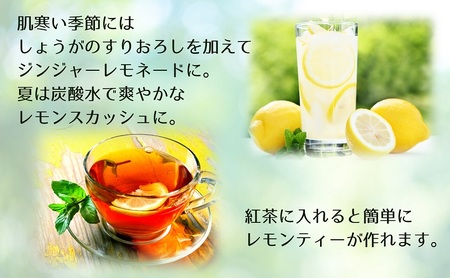【 小豆島 】豊島レモネード（粉末清涼飲料）10本入り×2袋 飲料 ドリンク 飲み物 粉末 檸檬 レモン 柑橘 レモネード 爽やか 豊島 香川 香川県 土庄 土庄町 