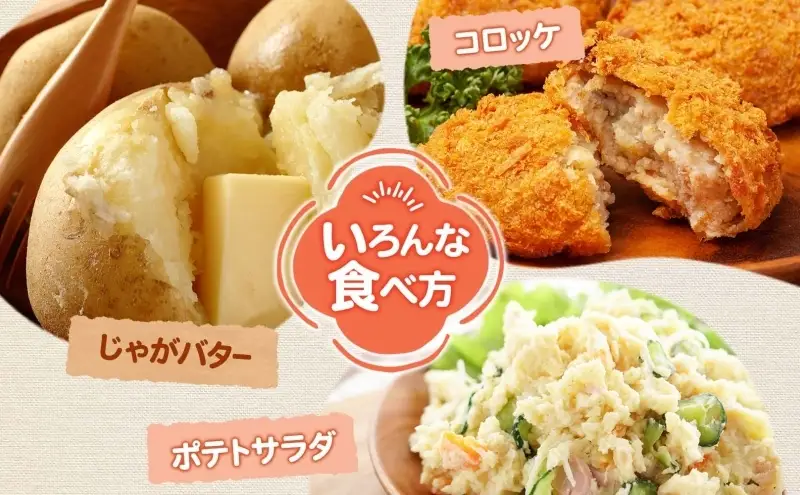 ＜2026年秋以降出荷＞ 北海道 じゃがいも 男爵 M～L 約4kg 特別栽培 ジャガイモ 馬鈴薯 だんしゃく 芋 いも イモ ポテト 野菜 農作物 国産 ホクホク 甘い  お取り寄せ 産地直送 北海道産 畑農場 送料無料 幌加内