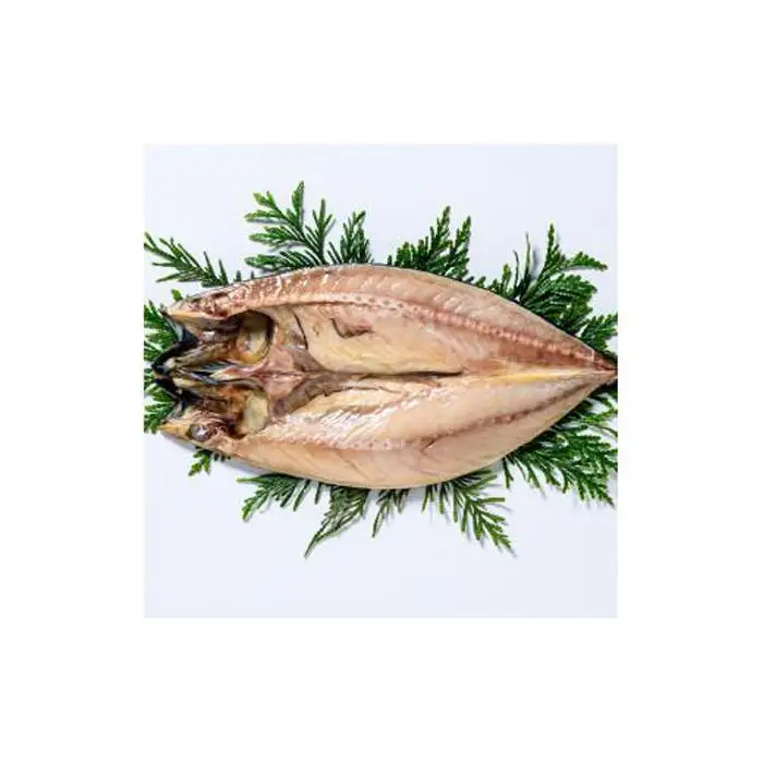 一夜干し お魚9種14点セット  ほっけ開き そい 鱈 秋鮭 さば いわし カレイ ハッカク ニシン 北海道 知床 羅臼町 生産者 支援 応援