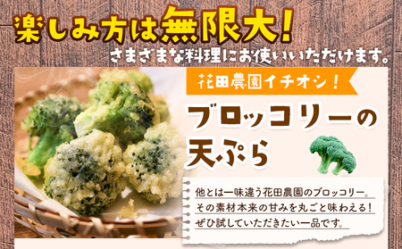 ブロッコリー 花田農園 の ブロッコリー 20個 花田農園 《11月下旬-3月末頃出荷》福岡県 鞍手町 ぶろっこりー 野菜 ブロッコリー 産地直送