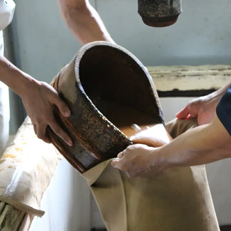 味噌 訳あり 麦味噌 6kg 宮居醤油店 味噌 J010-122004