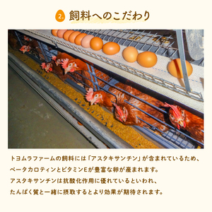 U-9 ◆12ヵ月定期便◆ 黄身がしっかり濃厚な卵【アスタの恵み】90個×12