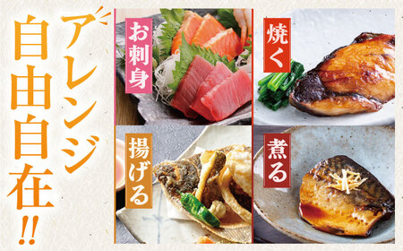 【1週間以内発送】【下処理済】超速冷凍鮮魚5種 五島市 / 金沢鮮魚[PEP018]  柵 冷蔵 真空パック 新鮮 下処理済み 海鮮 刺身 セット さしみ お刺身 おさしみ お刺し身 鮮魚 魚魚 鮮魚 鮮魚ボックススピード発送 最速発送 最短発送