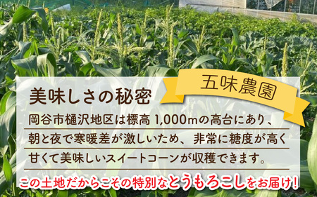 サニーショコラ　9本セット | とうもろこし