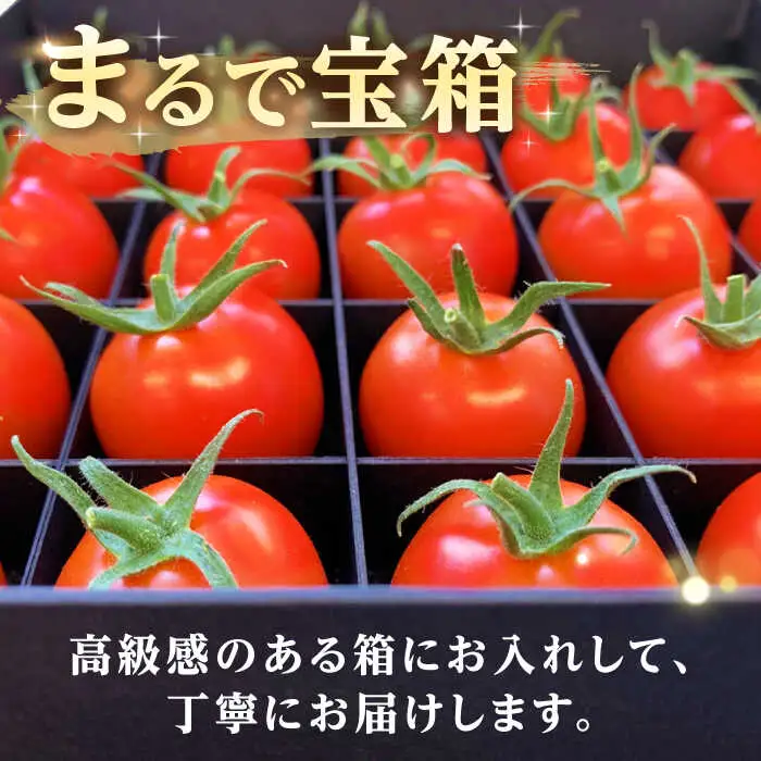 あま壱岐 トマト 約600~700g [JAE010] トマト
