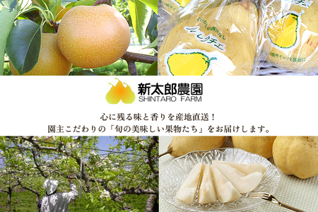 【2026年先行予約】【贈答用】幻の洋梨 ル・レクチェ3kg（7〜11玉） 《12月上旬から順次発送》