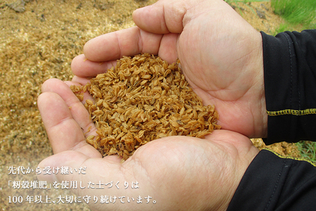 【2026年先行予約】【家庭用】幻の洋梨 ル・レクチェ2kg（5～8玉） 《11月下旬から順次発送》 果物 フルーツ 家庭用 加茂市産ル・レクチェ 梨 西洋梨 加茂市 新太郎農園