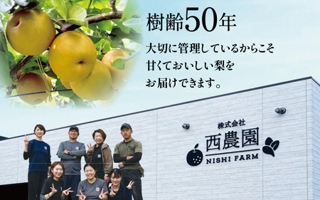 【先行予約】豊水梨 3kg前後 (5～8個) 甘くてジューシーな旬の梨【2026年8月下旬以降順次発送予定】 [A-15006]