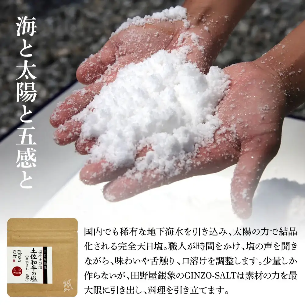 土佐和牛 特選スネ肉煮込み角切り 500g×4（田野屋銀象完全天日塩4P付き） 高知県土佐市 【株式会社LATERAL】 [BQAU047]