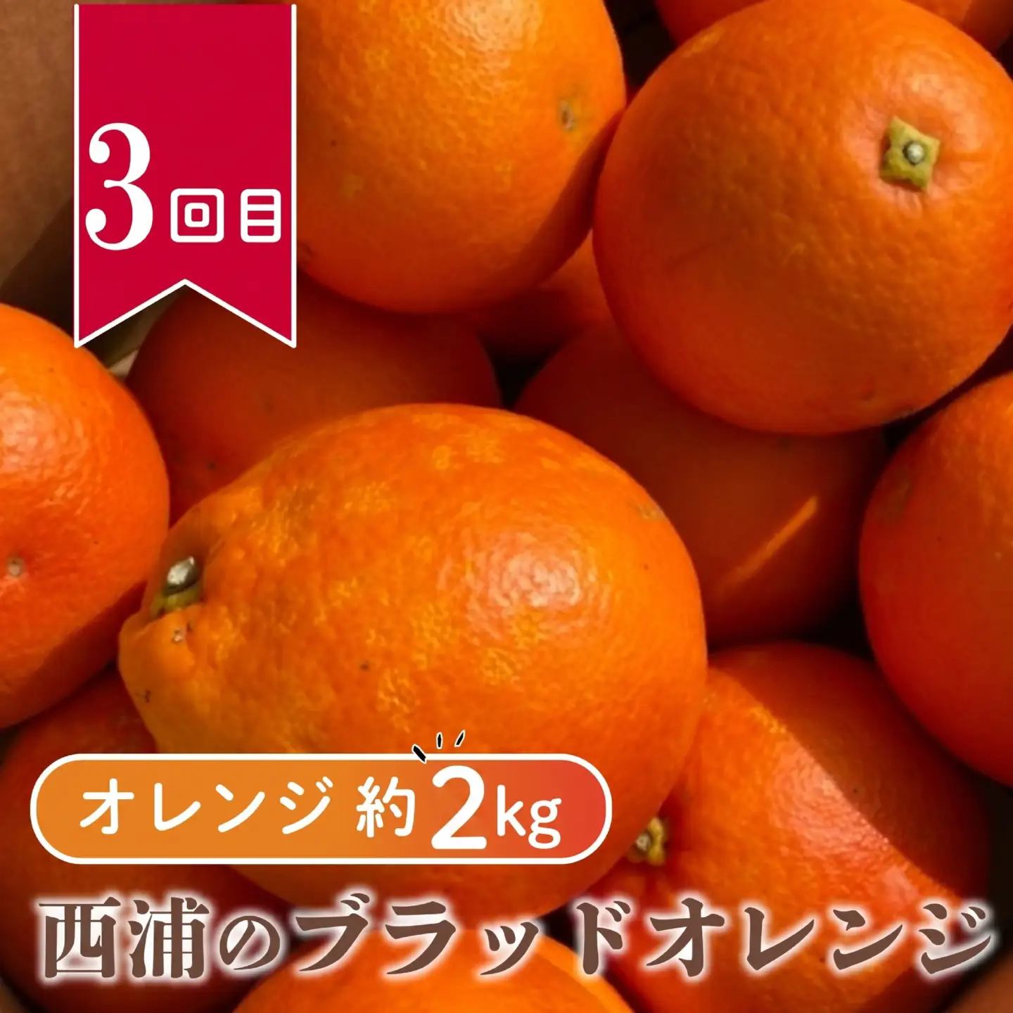 【 柑橘 定期便 】 訳あり 3回 定期便 由良 みかん 2.5kg 寿太郎 みかん 2.5kg ブラッドオレンジ 2kg