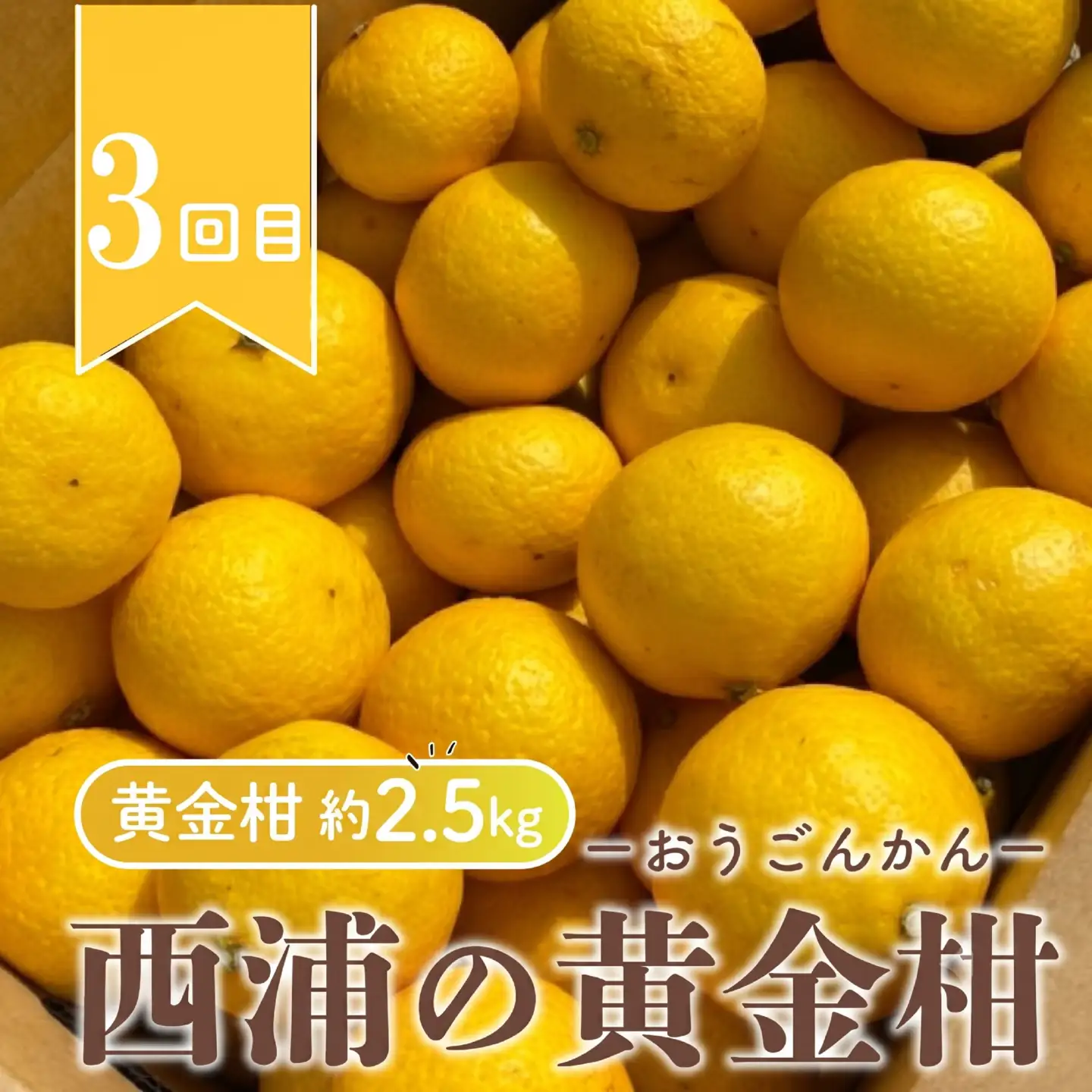 【 柑橘 定期便 】 訳あり 3回 定期便 由良 みかん 2.5kg 寿太郎 みかん 2.5kg 黄金柑 2.5kg 